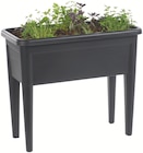 Table de culture XXL Green Elho - Botanic à Échirolles Table de culture XXL Green Elho en promo chez Botanic Échirolles à 23,99 €