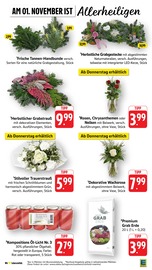 Ähnliche Regentonne Angebote im Prospekt "Aktuelle Angebote" von EDEKA in Neu-Ulm Ähnliche Angebote wie Regentonne im Prospekt "Aktuelle Angebote" auf Seite 11 von EDEKA in Neu-Ulm