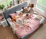 Möbel Wanninger Straubing - Boxspringbett Angebot im Prospekt Boxspringbett bei Möbel Wanninger im Straubing Prospekt für 1.299,00 €