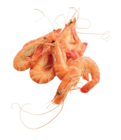Promo Grosses crevettes roses cuites à 1,10 € dans le catalogue Supermarchés Match à Puttelange-aux-Lacs