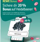 REWE Korb - 20% Bonus Angebot im Prospekt 20% Bonus bei REWE im Korb Prospekt für