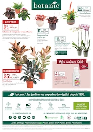 Offre Orchidée dans le catalogue Botanic du moment à la page 8