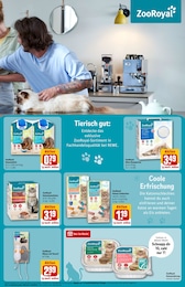 REWE Baby im Prospekt REWE Baby im Prospekt