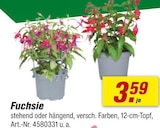 Angebot im toom Baumarkt Gotha Prospekt toom Baumarkt Gotha Prospekt mit im Angebot für 3,59 €
