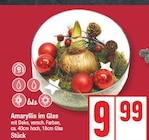 EDEKA Großbeeren Prospekt mit  im Angebot für 9,99 €