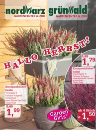 Garten-Center Nordharz GmbH & Co. KG Prospekt für Fritzlar mit 18 Seiten Garten-Center Nordharz GmbH & Co. KG Prospekt für Fritzlar: HALLO HERBST!, 18 Seiten, 16.09.2023 - 23.09.2023