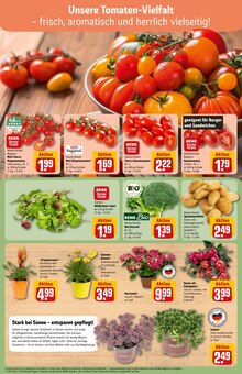 Pflanzen im aktuellen REWE Prospekt (Braunschweig) Pflanzen im REWE Prospekt "Dein Markt" mit 32 Seiten (Braunschweig)