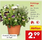 Frühlings Mix Angebote bei Netto Marken-Discount Gronau für 2,99 €