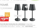 LED-Akku-Tischleuchten-Set „Jubidubiläum“ von Novel im aktuellen XXXLutz Prospekt