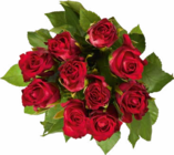 Edelrosen im Angebot bei Netto Marken-Discount in Ulm Edelrosen Angebote bei Netto Marken-Discount Ulm für 2,99 €