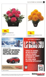 Fleurs Artificielles Angebote im Prospekt "TOUT VOTRE MAGASIN CONTRE LA VIE CHÈRE" von Intermarché Hyper Fleurs Artificielles Angebote im Prospekt "TOUT VOTRE MAGASIN CONTRE LA VIE CHÈRE" von Intermarché Hyper auf Seite 43