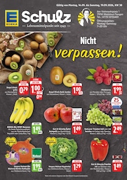 EDEKA Prospekt für Waldshut-Tiengen: "Aktuelle Angebote", 2 Seiten, 14.09.2026 - 19.09.2026