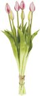 Künstlicher Tulpenstrauß von like wohnen für 3,99 € bei famila Nordwest im Angebot Künstlicher Tulpenstrauß von like wohnen im aktuellen famila Nordwest Prospekt
