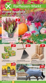 Aktueller Raiffeisenmarkt Baumärkte Prospekt in Rockenhausen und Umgebung, "Unsere Angebote für einen bunten Herbst" mit 8 Seiten, 01.10.2025 - 08.10.2025