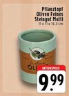 Aktuelle Blumentopf Angebote bei EDEKA in Mönchengladbach Aktuelles Pflanztopf Oliven Feines Steingut Multi Angebot bei EDEKA in Mönchengladbach ab 9,99 €
