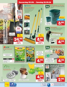 Pflanzen im aktuellen Netto Marken-Discount Prospekt (Dresden) Pflanzen im Netto Marken-Discount Prospekt "Aktuelle Angebote" mit 70 Seiten (Dresden)