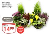 GLOBUS Freilassing Prospekt mit  im Angebot für 14,99 €