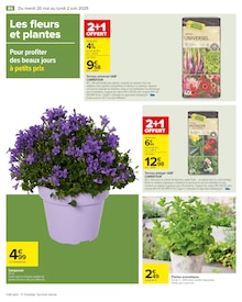 Promo Plante Aromatique dans le catalogue Carrefour du moment à la page 88