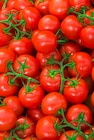 Tomates grappe CARREFOUR BIO dans le catalogue Carrefour