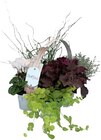 Bunter Herbst von  im aktuellen REWE Prospekt für 7,99 €