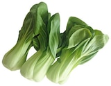 Pakchoi im Angebot bei REWE in Trier Pakchoi Angebote von REWE Regional bei REWE Trier für 1,19 €