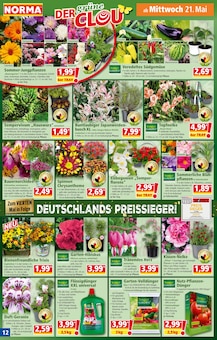 Brotchips Angebot im aktuellen Norma Prospekt auf Seite 12