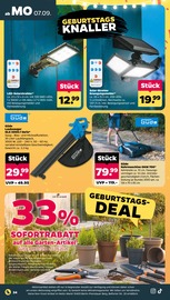 Aktueller Netto mit dem Scottie Prospekt mit Werkzeug, "Günstig. Besser. Für Dich.", Seite 26