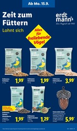 Sonnenblumenkerne im Lidl Prospekt in Maintal Aktueller Lidl Prospekt mit Sonnenblumenkerne, "LIDL LOHNT SICH", Seite 25