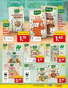 Pizza im Netto Marken-Discount Prospekt "Aktuelle Angebote" mit 66 Seiten (Saarbrücken)