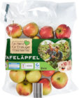 Äpfel Angebot in Wesel Äpfel im aktuellen Prospekt bei Netto Marken-Discount in Wesel