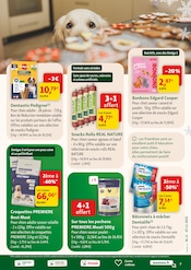 Promos Mâche dans le catalogue "JOYEUSES PROMOS" de Maxi Zoo à la page 7