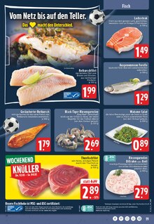 Garnelen im EDEKA Prospekt "Aktuelle Angebote" mit 24 Seiten (Essen)