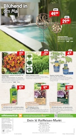 Aktueller Raiffeisenmarkt Prospekt mit Gartendeko, "Für eine grüne Oase und gemütliche Pausen", Seite 4