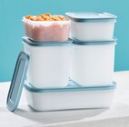 Freezer Mates Starter-Set Angebote von Tupperware bei REWE Dachau für 24,99 €