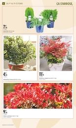Prix et réduction Panaché dans le prospectus Intermarché en cours Offre Panaché dans le catalogue Intermarché du moment à la page 6