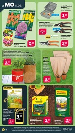 Aktueller Netto mit dem Scottie Prospekt mit Blumentopf, "Günstig. Besser. Für Dich.", Seite 18