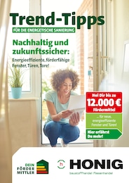 Honig Baustoffe Prospekt für Hameln mit 9 Seiten Honig Baustoffe Prospekt für Hameln: "Trend-Tipps für die energetische Sanierung", 9 Seiten, 12.09.2025 - 21.09.2025
