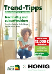 Aktueller Honig Baustoffe Baumärkte Prospekt in Heyen und Umgebung, "Trend-Tipps für die energetische Sanierung" mit 9 Seiten, 12.09.2025 - 21.09.2025