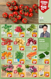 Aktueller REWE Prospekt mit Tomaten, "Dein Markt", Seite 7