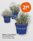 Silvester im tegut Prospekt Mix von Silver-Land im aktuellen tegut Prospekt für 2,99 €
