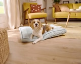 Hundebett Angebot in St. Leon-Rot Hundebett im aktuellen Prospekt bei Lidl in St. Leon-Rot