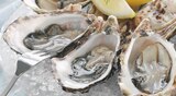 Huître de Bretagne en promo chez Intermarché Contact Angers à 11,99 €