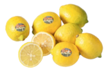 tegut...Bio-Zitrone im tegut Prospekt tegut...Bio-Zitrone von demeter im aktuellen tegut Prospekt für 0,99 €