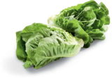 Mini-Romanasalat im Angebot bei Netto Marken-Discount in Bremerhaven Mini-Romanasalat Angebote von HEIMAT bei Netto Marken-Discount Bremerhaven für 0,88 €