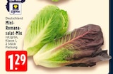 Deutschland Mini-Romana-salat-Mix bei EDEKA im Prospekt "" für 1,29 €