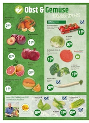 Tierfutter im V-Markt Prospekt in Kempten Aktueller V-Markt Prospekt mit Tierfutter, "V-Markt einfach besser einkaufen", Seite 4