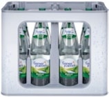 Mineralwasser im Angebot bei Kaufland in Magdeburg Mineralwasser Angebote von GAENSEFURTHER SCHLOSS QUELLE bei Kaufland Magdeburg für 4,99 €