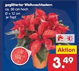 Aktuelle Pflanzen Angebote bei Netto Marken-Discount in Freiburg (Breisgau) Aktuelles geglitterter Weihnachtsstern Angebot bei Netto Marken-Discount in Freiburg (Breisgau) ab 3,49 €