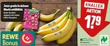 Bio Bananen im Angebot bei REWE in Iserlohn Bio Bananen Angebote von REWE Bio bei REWE Iserlohn für 1,79 €