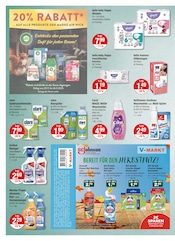 Aktueller V-Markt Prospekt mit Ente, "V-Markt einfach besser einkaufen", Seite 10